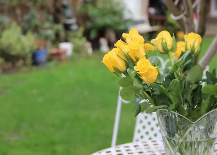 Bright London Garden Studio!