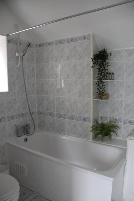 Bright Garden Studio! Appartement