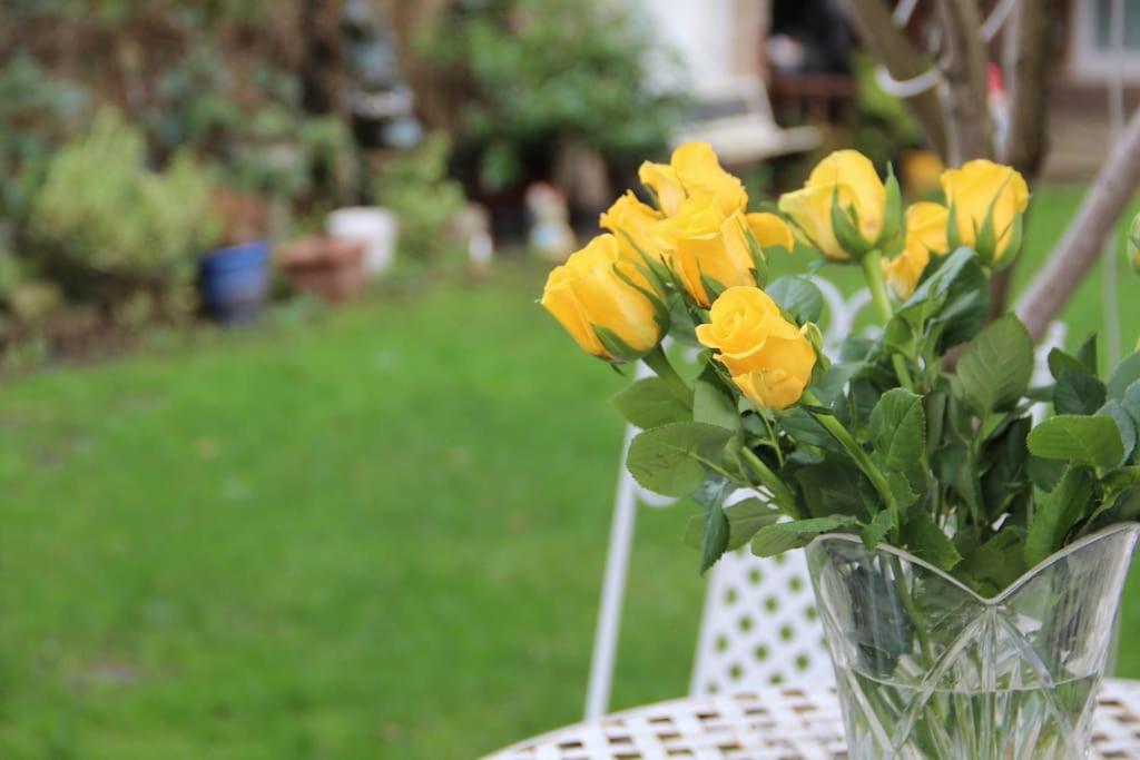 Bright Garden Studio! Appartement Londen